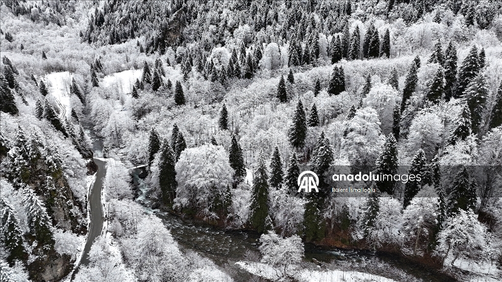Zil Kale ve Ayder Yaylası beyaz örtüyle kaplandı