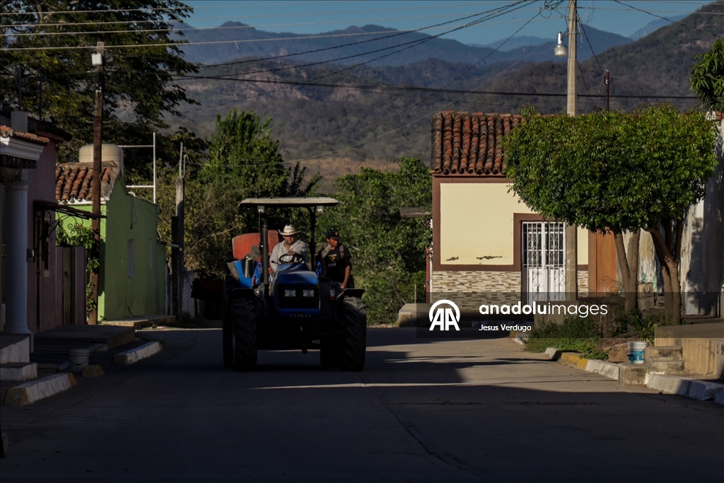 Операция по обнаружению тайных захоронений в штате Синалоа