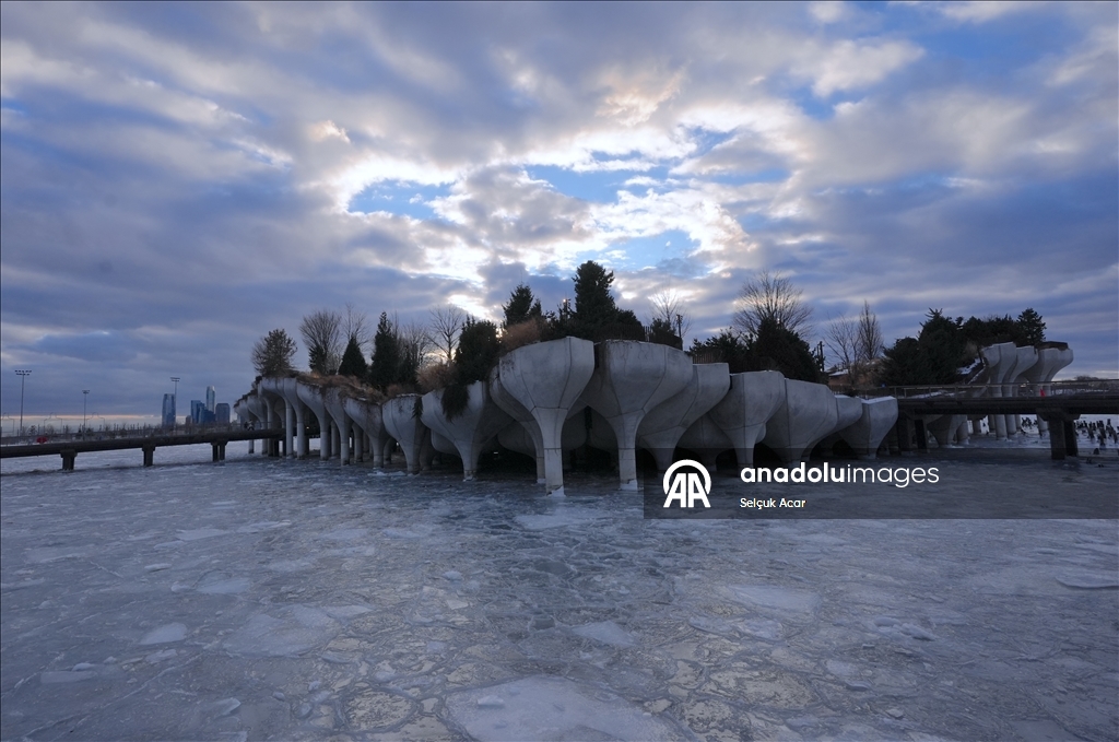 Число погибших из-за аномальных холодов в Нью-Йорке выросло до 26