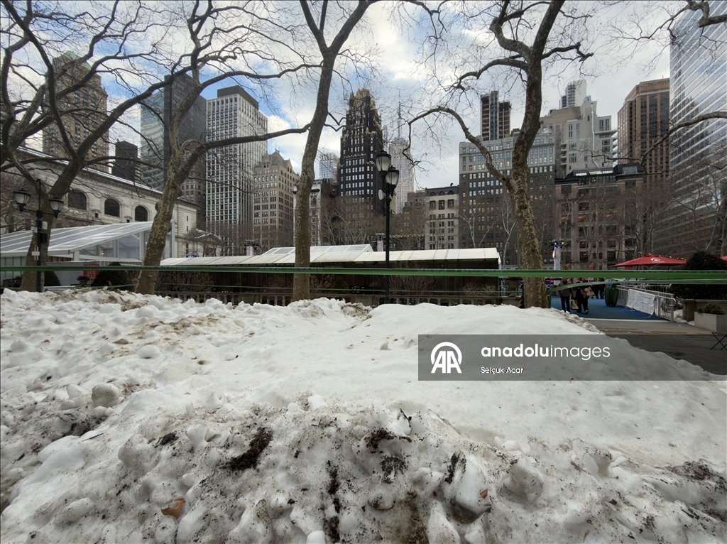 Число погибших из-за аномальных холодов в Нью-Йорке выросло до 26