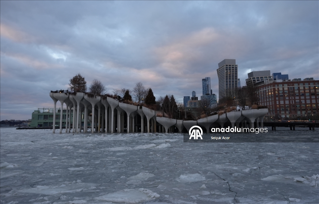 Число погибших из-за аномальных холодов в Нью-Йорке выросло до 26