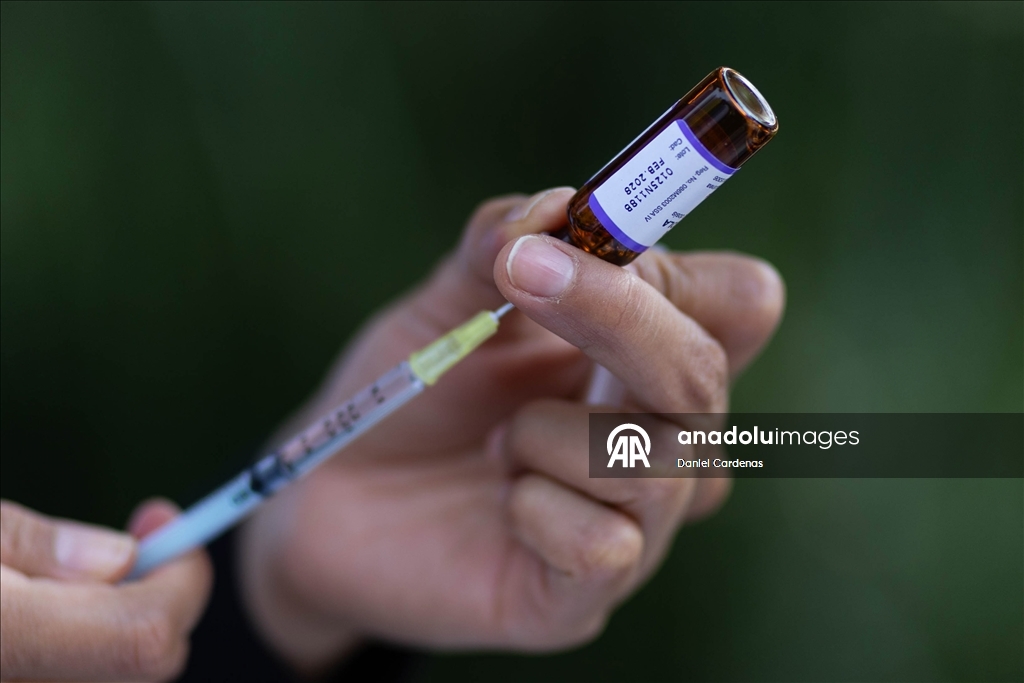 Буддийские монахи, отправившиеся на «Марш мира», прибыли в Вашингтон