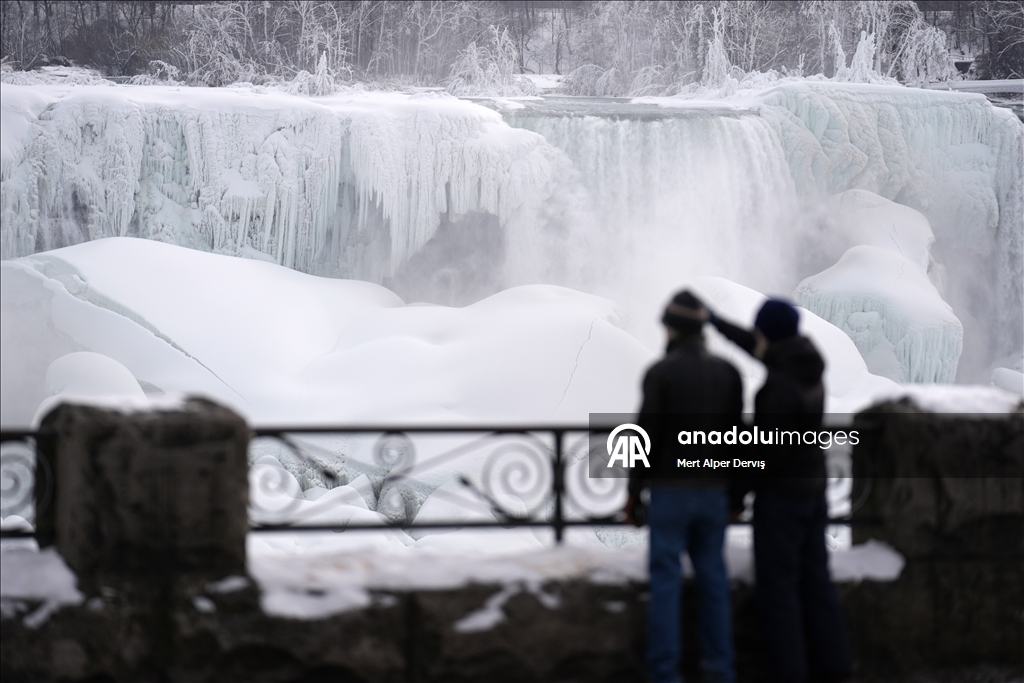 Niagara Şelalesi kısmen dondu 