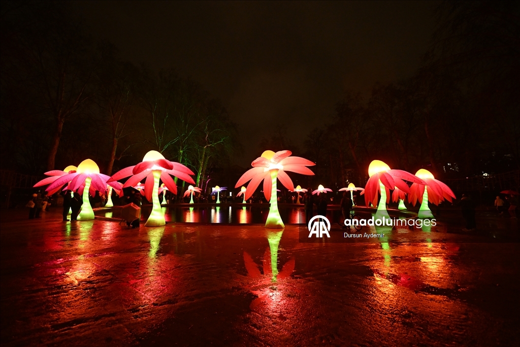 Уникальное Световое шоу началось в Брюсселе