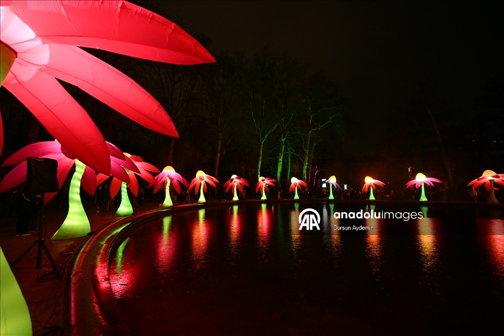 Уникальное Световое шоу началось в Брюсселе