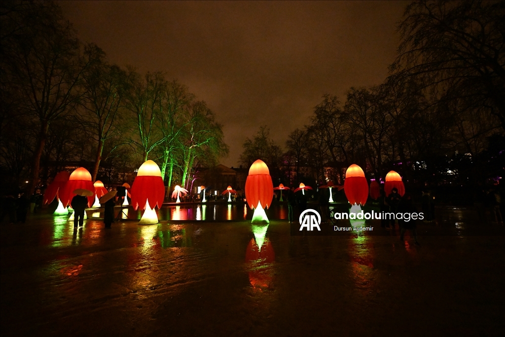 Уникальное Световое шоу началось в Брюсселе