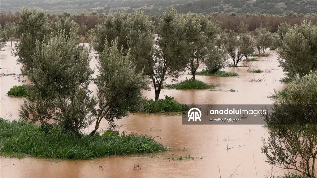 Osmaniye'de sağanak nedeniyle bazı evleri ve tarım arazilerini su bastı