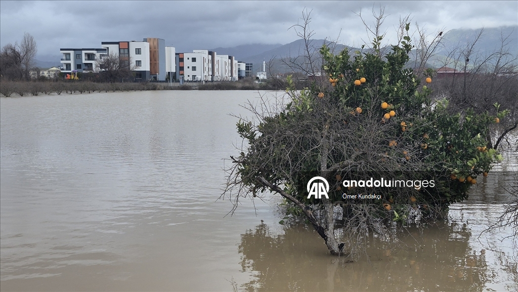 Muğla'da kuvvetli yağış nedeniyle sel ve su taşkınları yaşanıyor