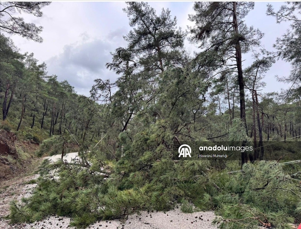 Muğla'da kuvvetli yağış nedeniyle sel ve su taşkınları yaşanıyor