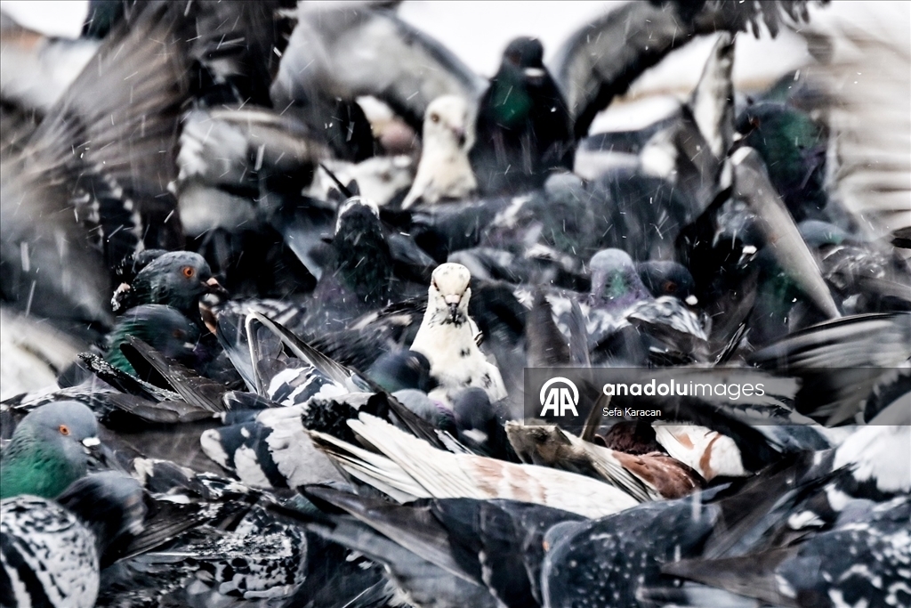 Снегопад в Москве 9