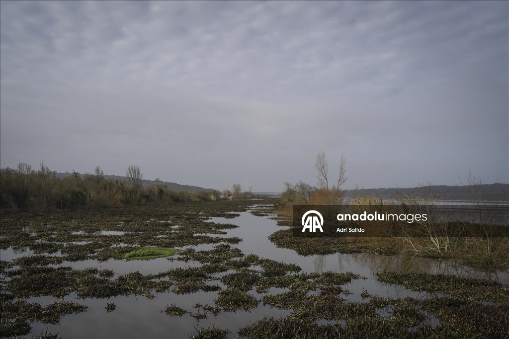 В Португалии из-за наводнений эвакуировали несколько тысяч человек