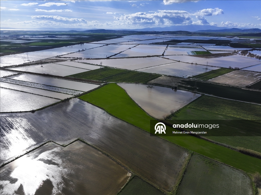 Gediz Nehri'nin taşması sonucu İzmir'de tarım arazileri sular altında kaldı