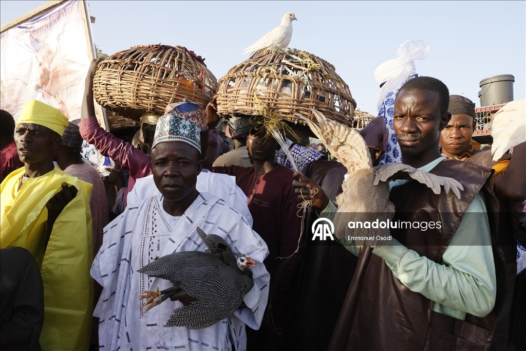 В Нигерии прошел фестиваль «Аргунгу: рыболовство и культура»