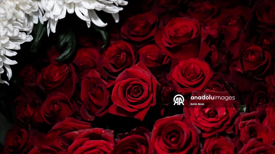 Sevgililer Günü dolayısıyla hazırlanan çiçekler raflardaki yerini aldı