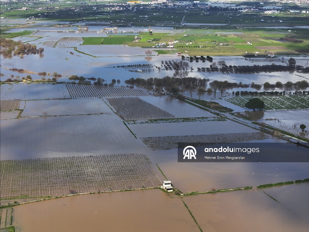 Gediz Nehri'nin taşması sonucu İzmir'de tarım arazileri sular altında kaldı
