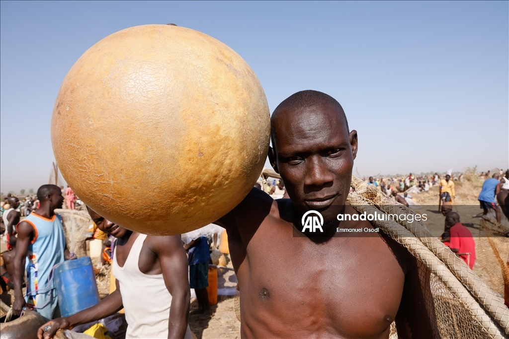 Nijerya'da "Argungu Uluslararası Balıkçılık ve Kültür" festivali