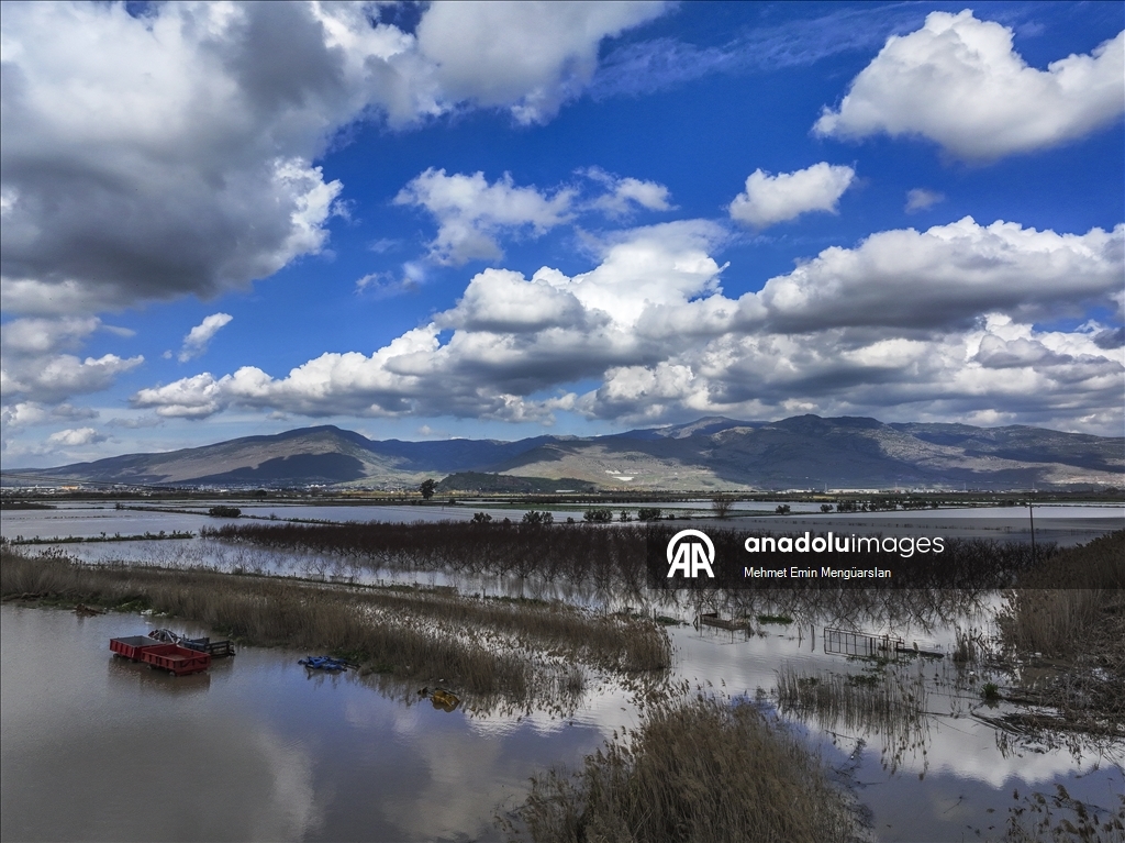 Gediz Nehri'nin taşması sonucu İzmir'de tarım arazileri sular altında kaldı