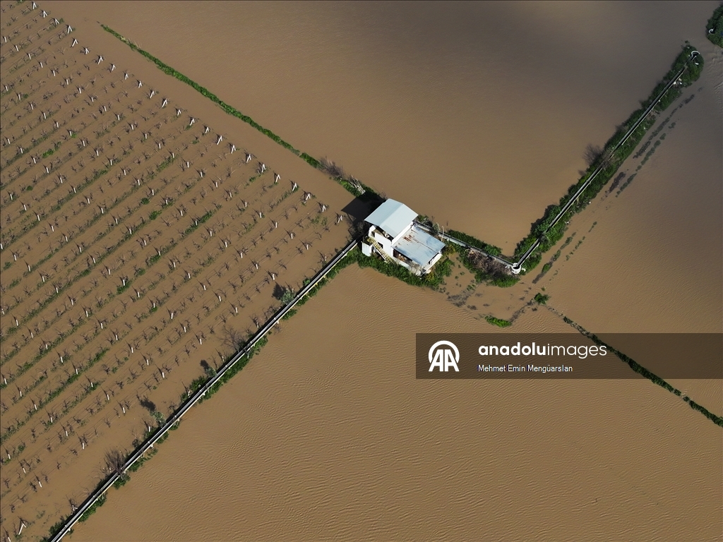 Gediz Nehri'nin taşması sonucu İzmir'de tarım arazileri sular altında kaldı