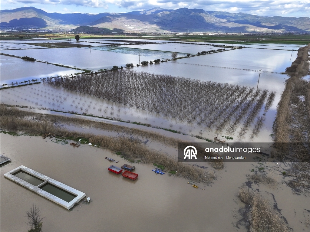 Gediz Nehri'nin taşması sonucu İzmir'de tarım arazileri sular altında kaldı