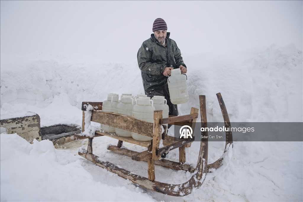 Kar kalınlığının 2,5 metreye ulaştığı Ovacık'ta besiciler zorlu kış şartlarına göğüs geriyor