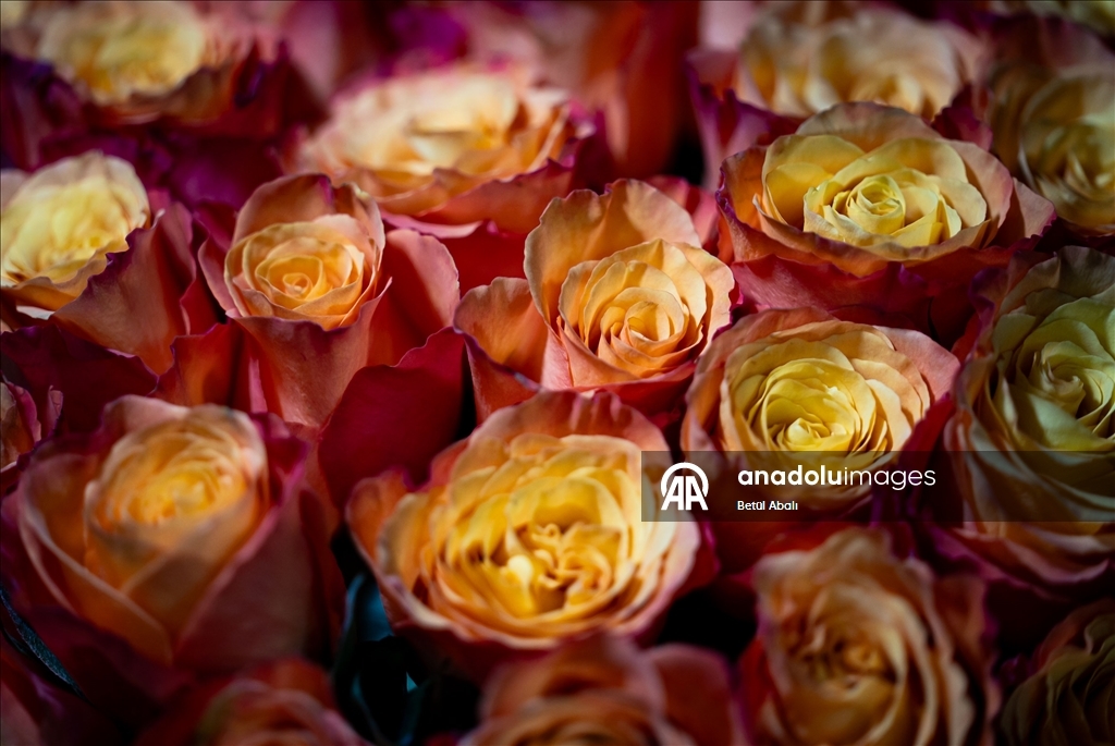 Sevgililer Günü dolayısıyla hazırlanan çiçekler raflardaki yerini aldı