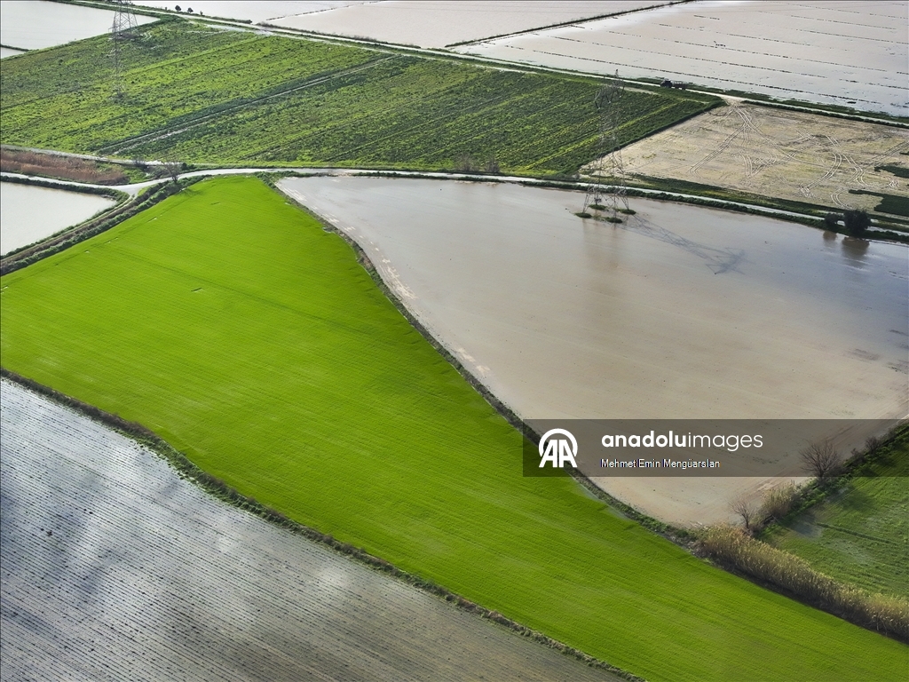 Gediz Nehri'nin taşması sonucu İzmir'de tarım arazileri sular altında kaldı