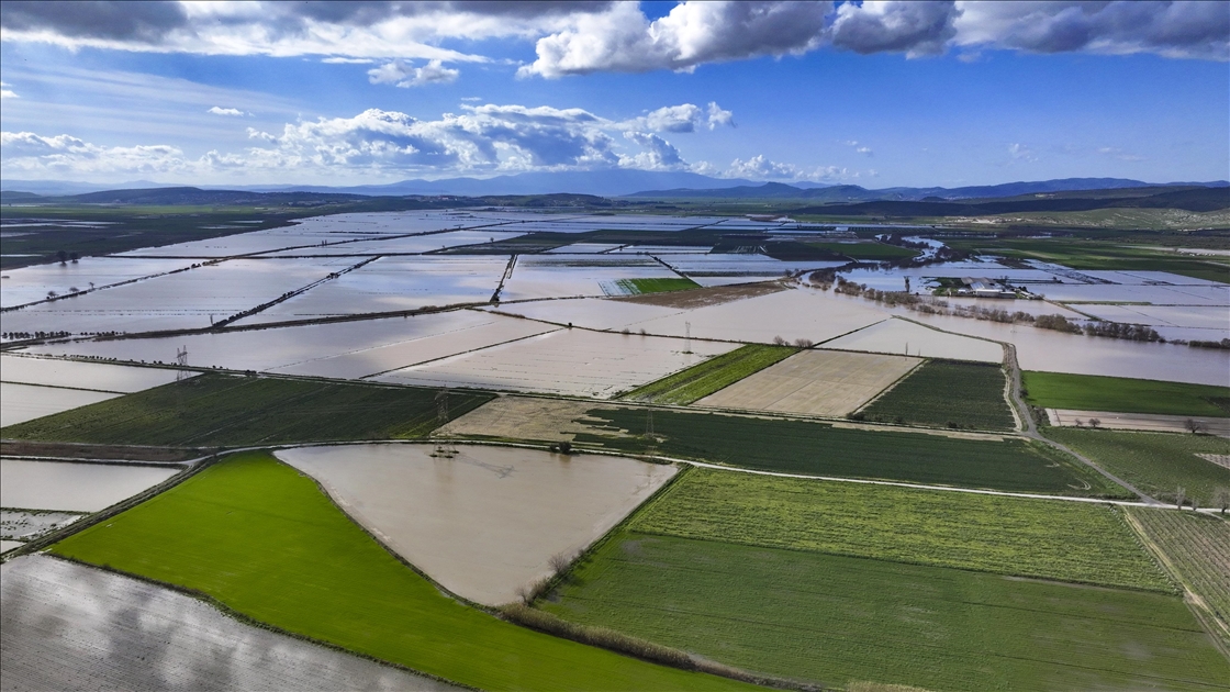 Gediz Nehri'nin taşması sonucu İzmir'de tarım arazileri sular altında kaldı