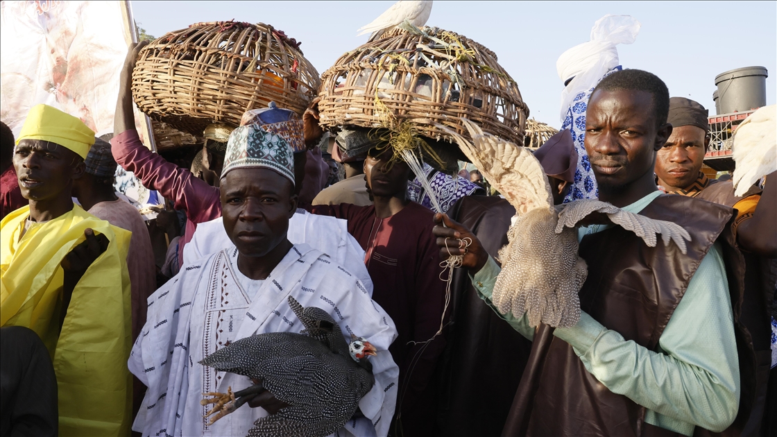 Nijerya’da "Argungu Balıkçılık ve Kültür" festivali