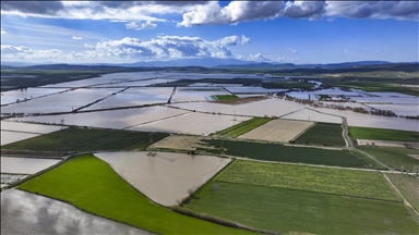 Gediz Nehri'nin taşması sonucu İzmir'de tarım arazileri sular altında kaldı