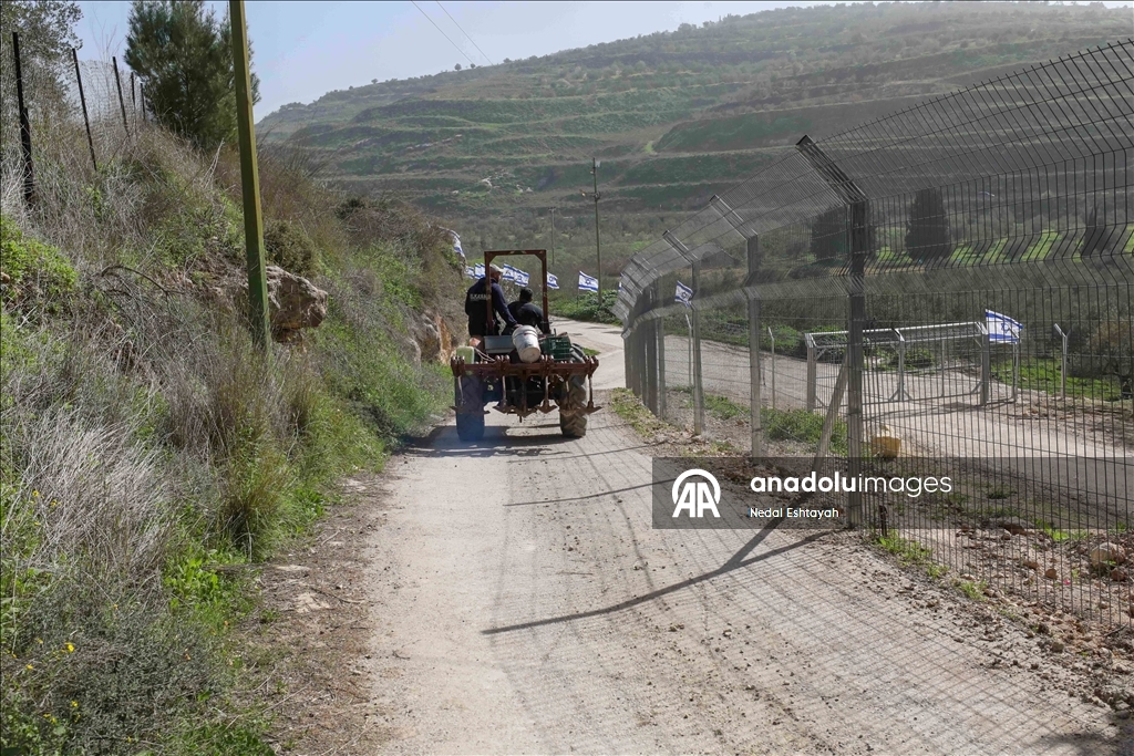 "فرض أمر واقع".. مستوطنون يعلقون أعلاما إسرائيلية بمنطقة أثرية بالضفة