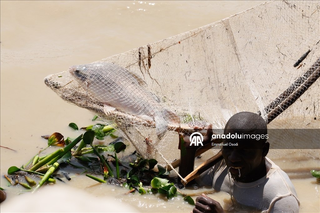  مئات المتسابقين يقفزون إلى النهر في مهرجان أرغونغو الدولي لصيد الأسماك شمال غربي نيجيريا
