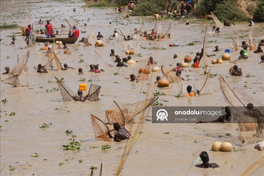  مئات المتسابقين يقفزون إلى النهر في مهرجان أرغونغو الدولي لصيد الأسماك شمال غربي نيجيريا