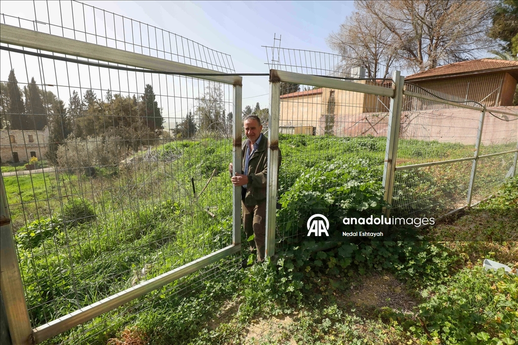 "فرض أمر واقع".. مستوطنون يعلقون أعلاما إسرائيلية بمنطقة أثرية بالضفة