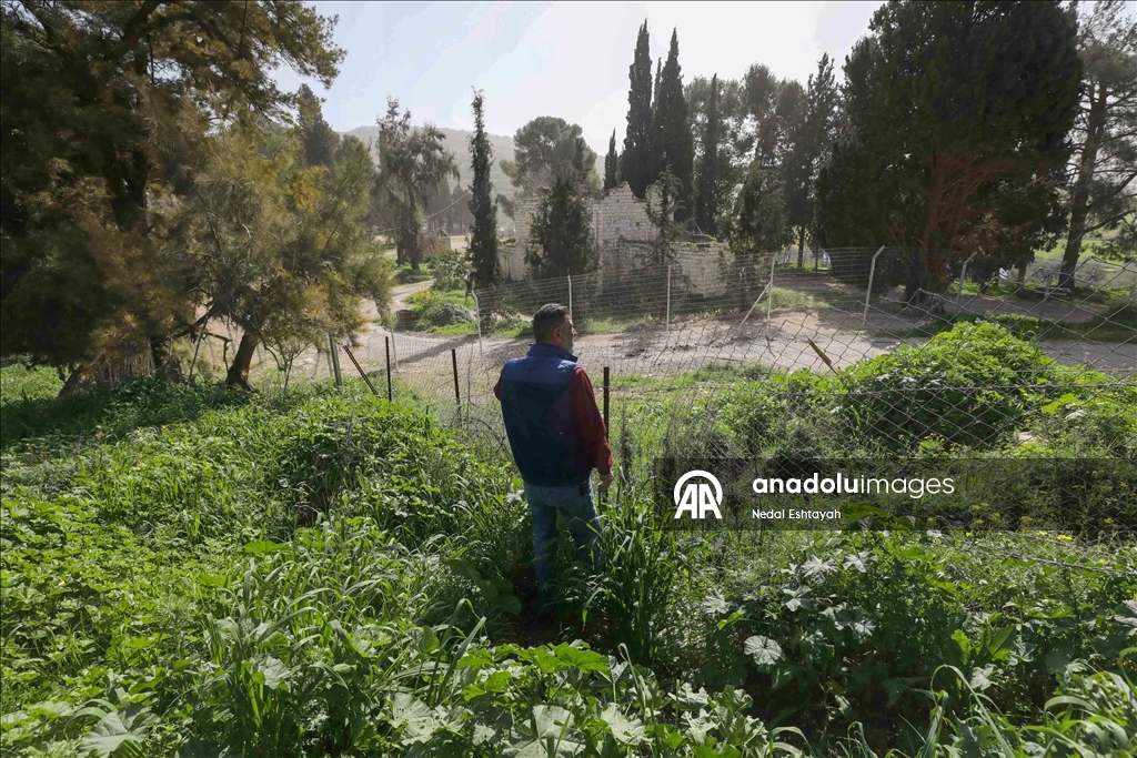 "فرض أمر واقع".. مستوطنون يعلقون أعلاما إسرائيلية بمنطقة أثرية بالضفة