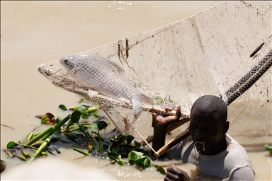 مئات المتسابقين يقفزون إلى النهر في مهرجان أرغونغو الدولي لصيد الأسماك شمال غربي نيجيريا