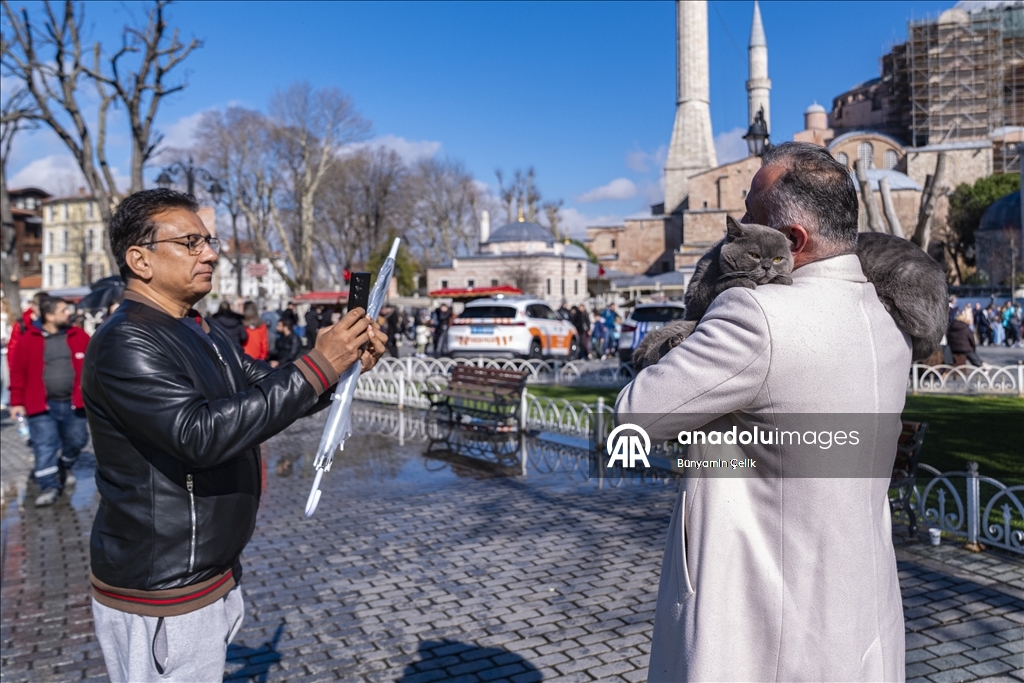 İstanbul'u gezen seyyah kedinin omuz macerasına yavrusu da katıldı