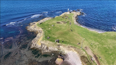 Ordu'daki Yason Burnu ziyaretçilerini ağırlıyor