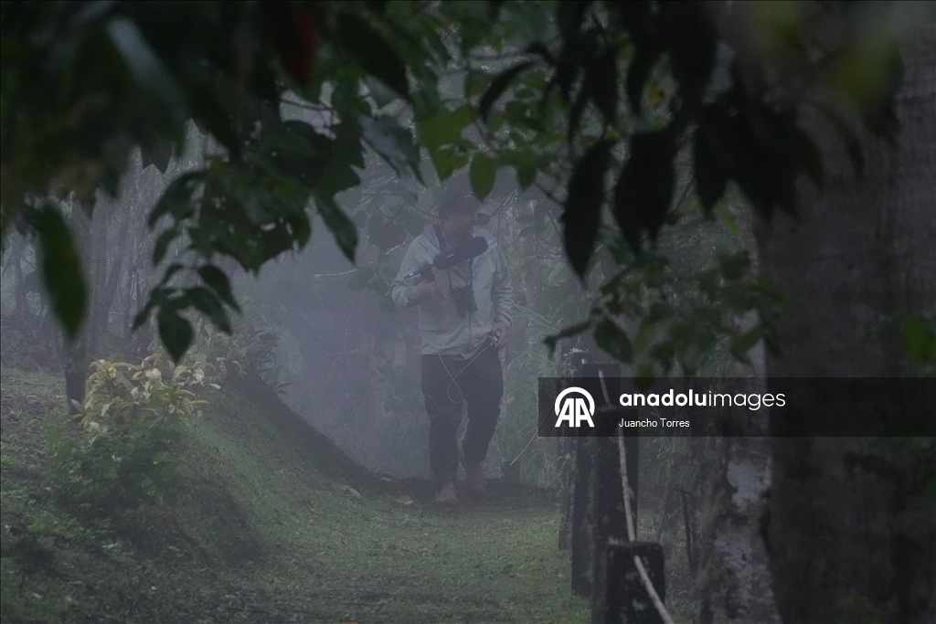 Uluslararası Kolombiya Kuş Fuarı
