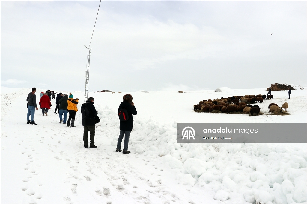 Li Agiriyê jiyana zivistanê ya dijwar û bedewiya siruştî bala wênekêşan dikişîne