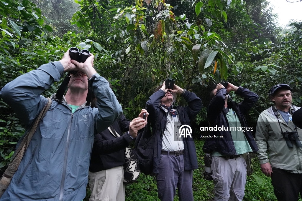 В Колумбии прошла Международная выставка птиц