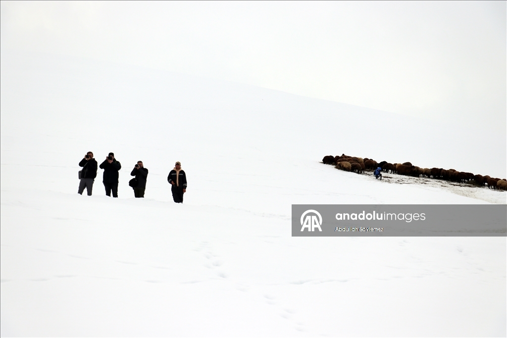 Li Agiriyê jiyana zivistanê ya dijwar û bedewiya siruştî bala wênekêşan dikişîne