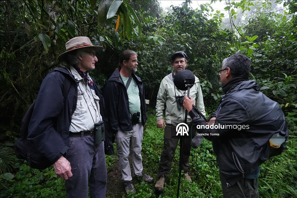 В Колумбии прошла Международная выставка птиц