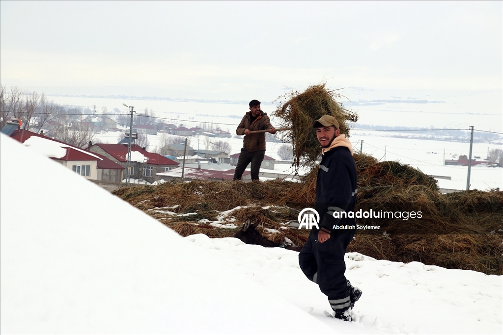 Ağrı'nın zorlu kış yaşamı ve doğal güzellikleri fotoğrafçıların rotasında