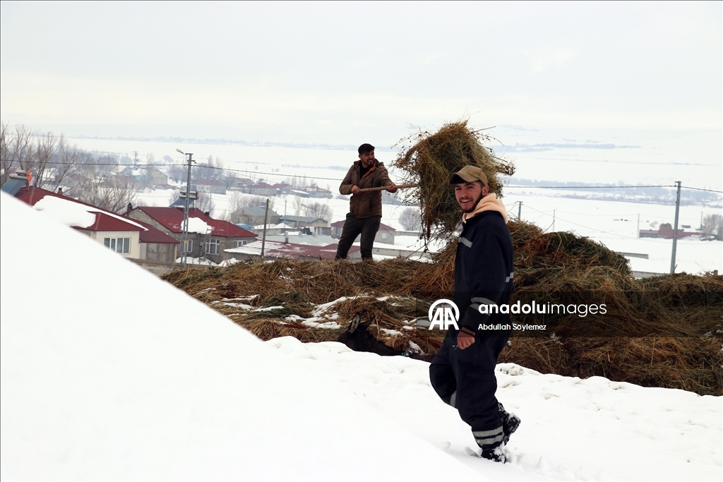 Li Agiriyê jiyana zivistanê ya dijwar û bedewiya siruştî bala wênekêşan dikişîne