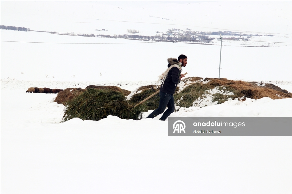 Li Agiriyê jiyana zivistanê ya dijwar û bedewiya siruştî bala wênekêşan dikişîne