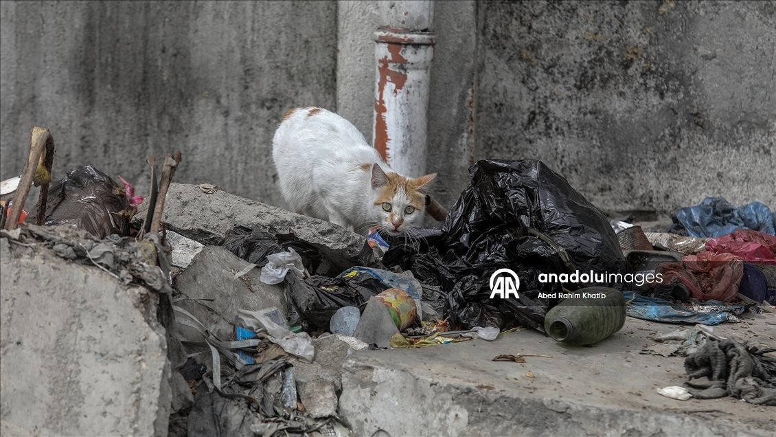Han Yunus’ta çöp ve kanalizasyon krizi, yerinden edilen Filistinlilerin yaşamını tehdit ediyor