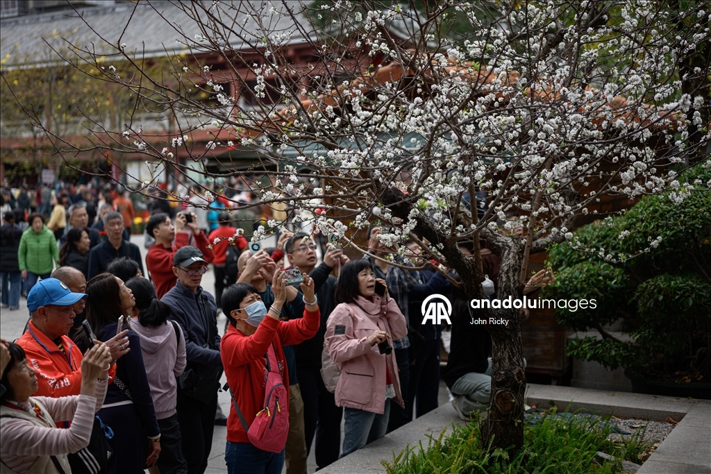 В Китае отмечают Праздник весны