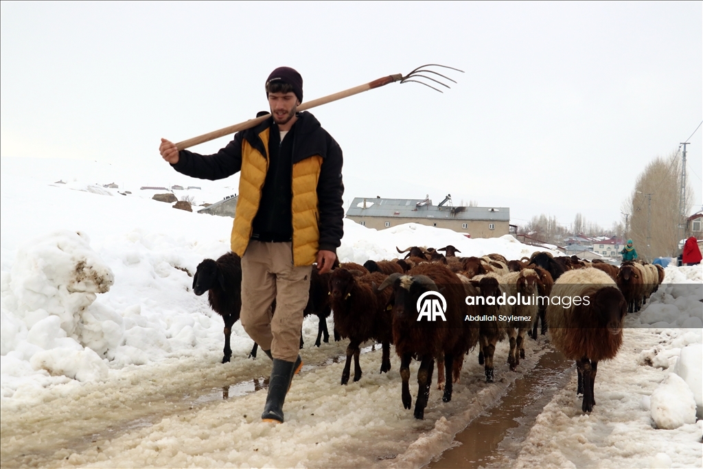 Li Agiriyê jiyana zivistanê ya dijwar û bedewiya siruştî bala wênekêşan dikişîne