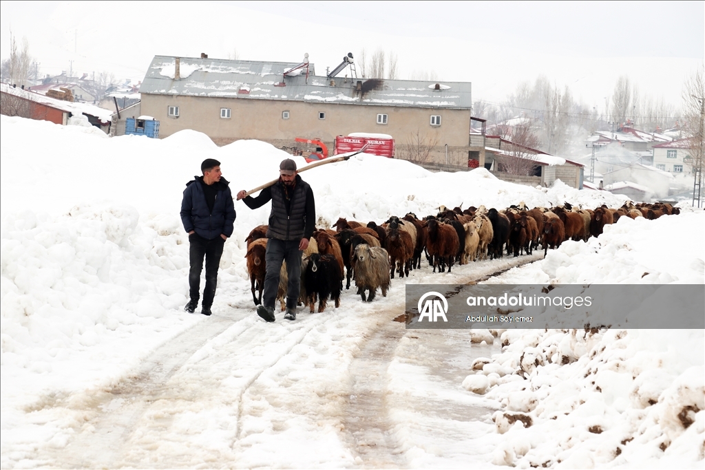 Li Agiriyê jiyana zivistanê ya dijwar û bedewiya siruştî bala wênekêşan dikişîne