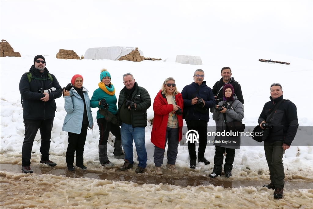 Li Agiriyê jiyana zivistanê ya dijwar û bedewiya siruştî bala wênekêşan dikişîne